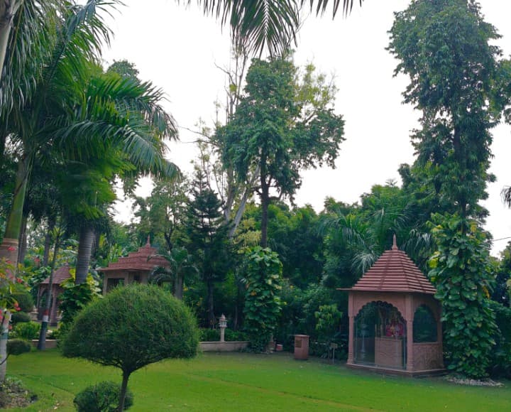 Shyam Lal College Sports and Ground photo 9